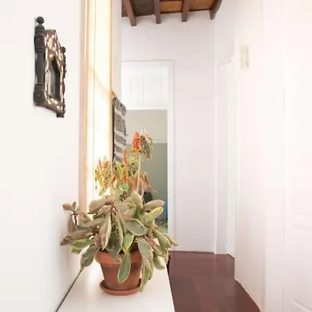 Balsamo Holiday home
